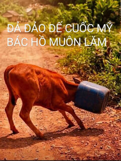 Giao lưu td